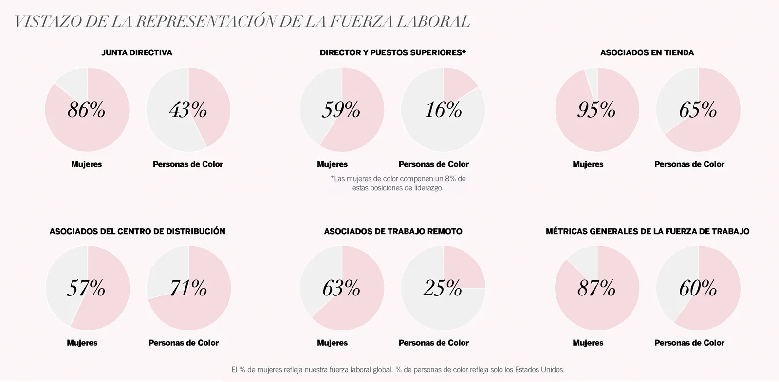 Vistazo de la representación de la fuerza laboral
